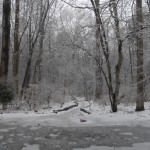 Hemlock Overlook, Hemlock, Adventure Links, Winter, Snoverit