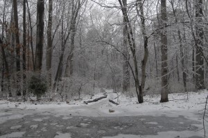 Hemlock Overlook, Hemlock, Adventure Links, Winter, Snoverit