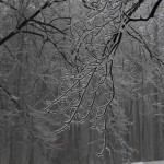 Hemlock Overlook, Hemlock, Adventure Links, Winter, Snoverit