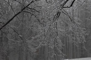 Hemlock Overlook, Hemlock, Adventure Links, Winter, Snoverit