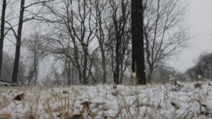 Hemlock Overlook, Hemlock, Adventure Links, Winter, Snoverit