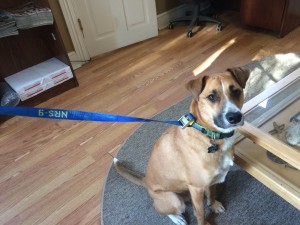Clif Leash