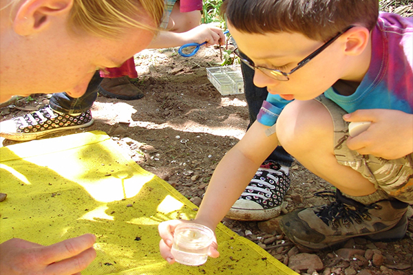 Environmental Education