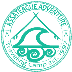 assateaguestamp252