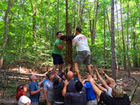woodmark