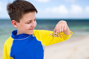 Environmental Education Day Camp Adventure Links Miami Summer Camp