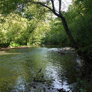 Adventure Links Environmental Education