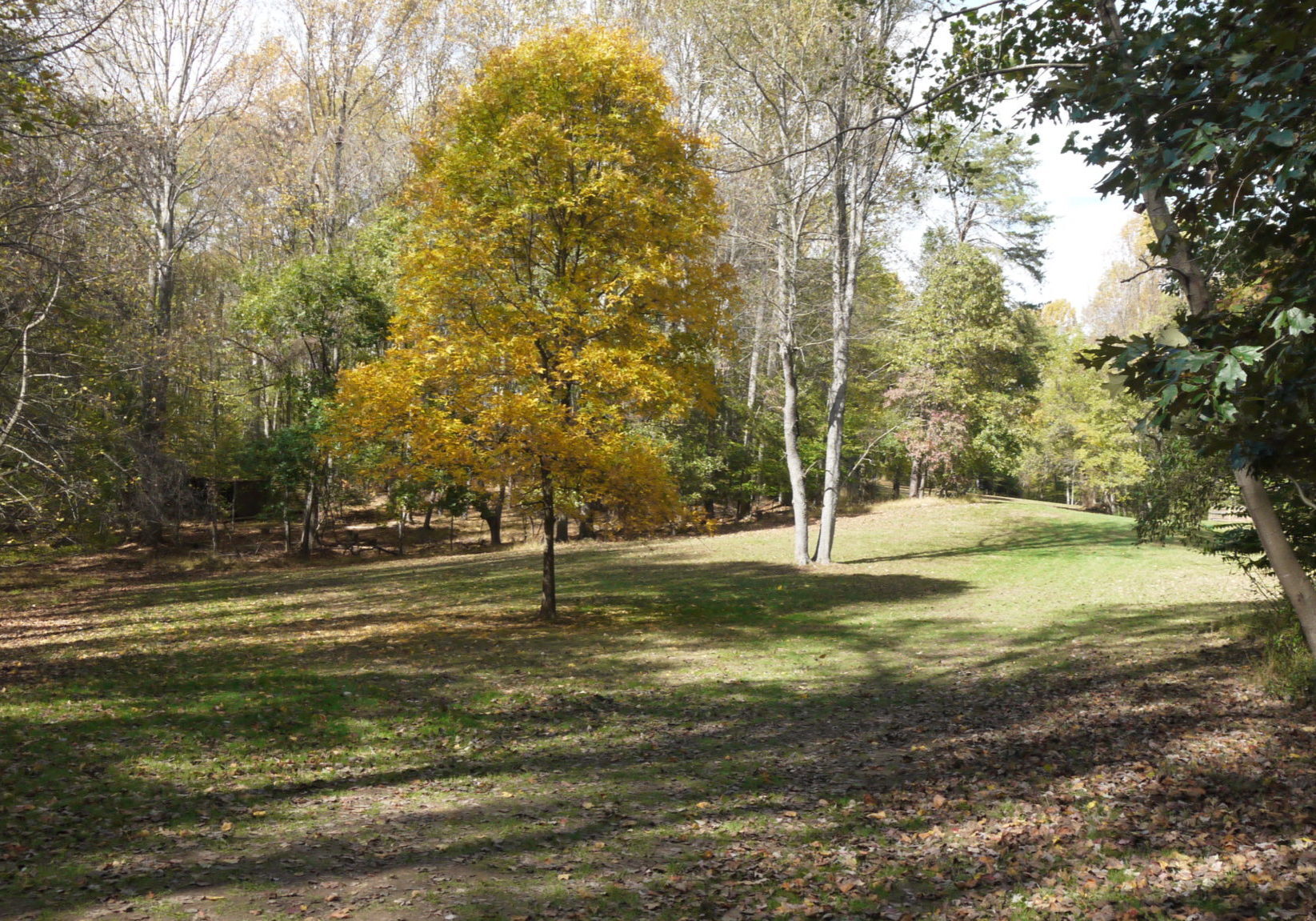 P1070479-landscape